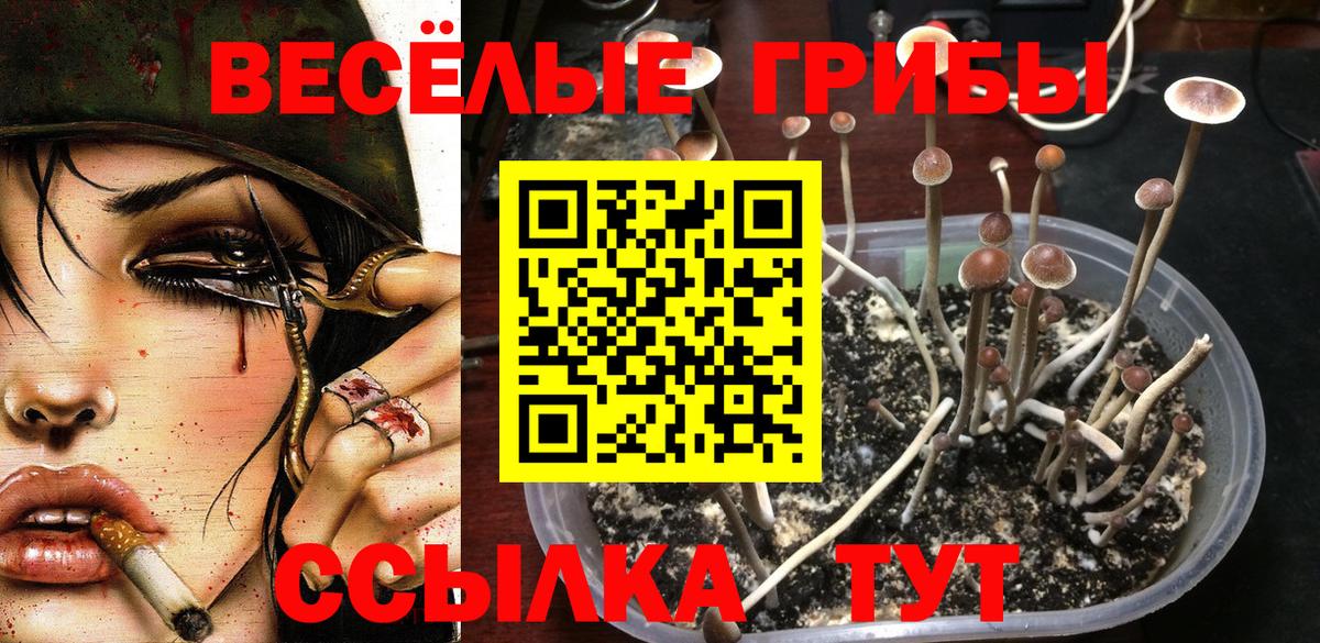 Псилоцибиновые грибы GOLDEN TEACHER Новоуральск