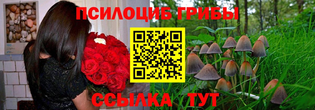 Новоуральск  Псилоцибиновые грибы мухоморы  как найти   Вход с VPN 